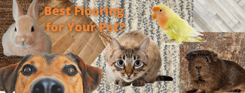 Best Flooring for Dogs, Cats, and Other Pets